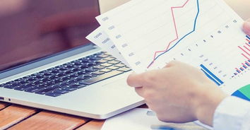 重慶專業項目可行性研究報告編寫與信息咨詢服務